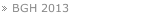 BGH 2013
