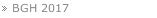 BGH 2017